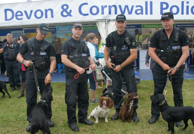Four officers with their dogs