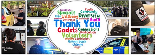 A montage of volunteers carrying out different jobs with a word cloud heart shaped thank you in the middle 